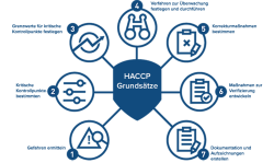 Qualität - Gefahrenanalyse und kritische Kontrollpunkte HACCP